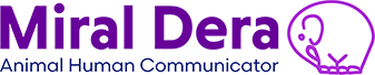 Miraldera Logo